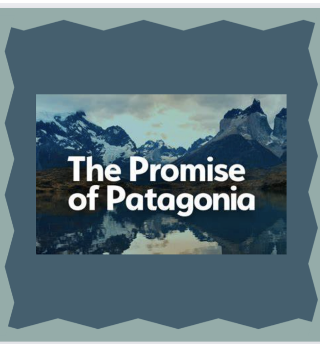 The Patagonia Promise Stan Richards School of Advertising